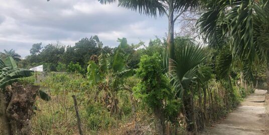 Terreno En Venta Urbanizaci&oacute;n Thom&eacute;n